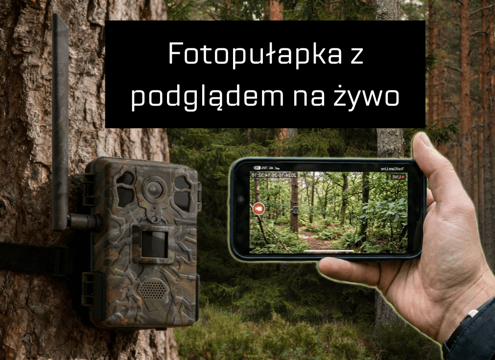 Fotopułapka z podglądem na żywo – jak zabezpieczyć pasiekę, budowę lub skład drewna? Ranking 2026