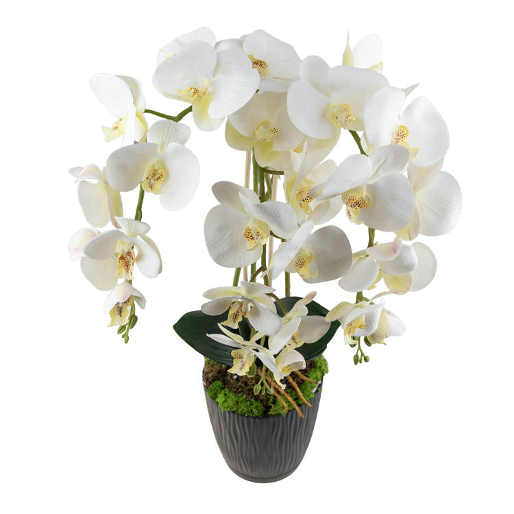 Ukryta mini kamera w doniczce kwiat z podglądem na żywo w telefonie