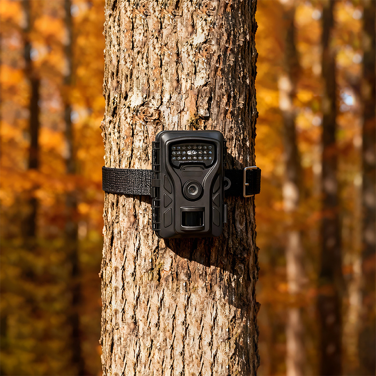 Fotopułapka kamera leśna RF06 4K 48 Mpx – dobra fotopułapka na złodzieja i działkę