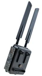 Ukryta fotopułapka SF4.0P-CWG Pro AES na telefon – dyskretny monitoring posesji nocą