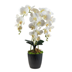 Ukryta mini kamera w doniczce kwiat z podglądem na żywo w telefonie