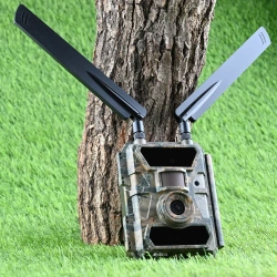 Zestaw Fotopułapka kamera leśna 4.0 CG Pro 60° 4G LTE 24MPX + 12AA + SD 32GB + SIM