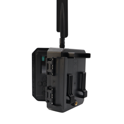 Kamera Fotopułapka na złodzieja Predator Eye i001 Full-HD