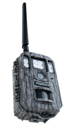 Fotopułapka 4G do dyskretnej obserwacji posesji — alert na telefon, noc