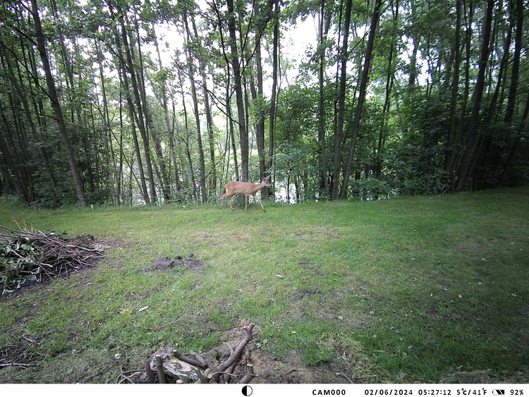 Kamera Leśna Fotopułapka 4K 4G LTE PODGLĄD na ŻYWO Aplikacja HC-950Pro AKU 