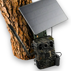 Zestaw Fotopułapka gsm Kamera Dla pszczelarza TOPHUNT H6 Dark Green Panel Solarny 6xAkumulator 18650 Karta SD 32 GB Karta SIM Orange