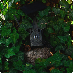 TOPHUNT H6 Green — fotopułapka 4G LTE live view, głośnik, 14 Mpx 2.7K, 15600 mAh, panel solarny w zestawie