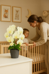 Ukryta mini kamera w doniczce kwiat z podglądem na żywo w telefonie