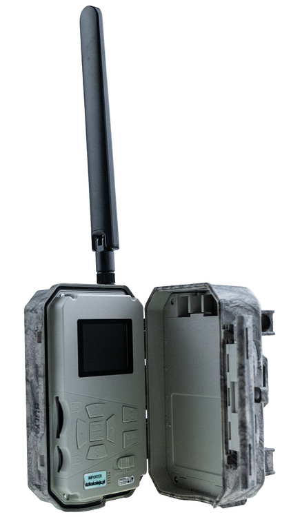 Fotopułapka 4G do dyskretnej obserwacji posesji — alert na telefon, noc