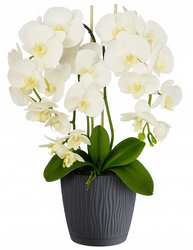 Ukryta mini kamera w doniczce kwiat z podglądem na żywo w telefonie