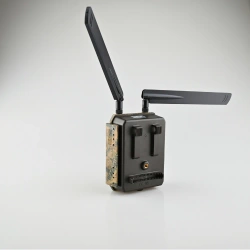 OUTLET Fotopułapka kamera leśna SF4.0 CG Pro 100° GSM 4G LTE 24MPX