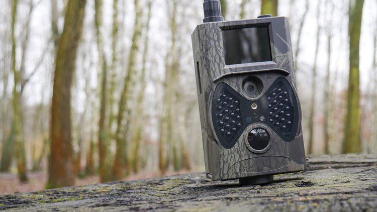 Fotopułapka GSM Kamera leśna dla Pszczelarzy HC-300M PL Monitoring pasiek Zestaw