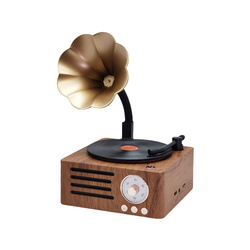 Ukryta Kamera WIFI w gramofon MKLS68