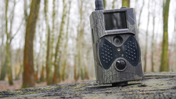 Fotopułapka GSM Kamera leśna dla Pszczelarzy HC-300M PL Monitoring pasiek Zestaw