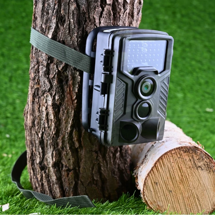 Ukryta fotopułapka TOPHUNT HC-800A do monitoringu posesji nocą