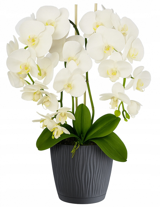 Ukryta mini kamera w doniczce kwiat z podglądem na żywo w telefonie