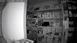 Mini kamera Zegar Budzik PIR rok na baterii LS6