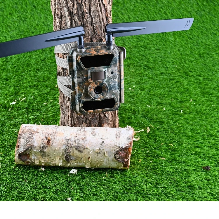 Fotopułapka GSM na posesję - dyskretny monitoring bez prądu, nocny podgląd