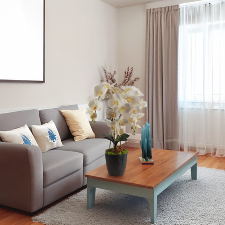 Ukryta mini kamera w doniczce kwiat z podglądem na żywo w telefonie