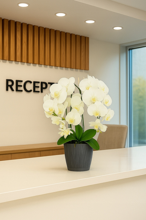 Ukryta mini kamera w doniczce kwiat z podglądem na żywo w telefonie