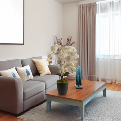 Ukryta mini kamera w doniczce kwiat z podglądem na żywo w telefonie