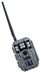 Fotopułapka 4G do dyskretnej obserwacji posesji — alert na telefon, noc