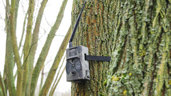 Fotopułapka GSM Kamera leśna dla Pszczelarzy HC-300M PL Monitoring pasiek Zestaw