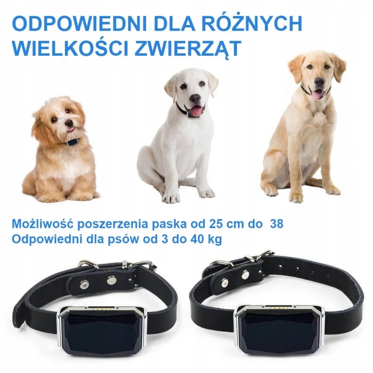 Lokalizator GPS dla PSA KOTA OBROŻA MK12P