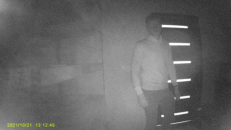 Mini kamera z czujnikiem ruchu Z7 obrotowy obiektyw tryb nocny